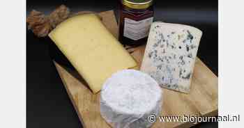 Vlielander Kaasbunker in de prijzen tijdens Cum Laude Awards