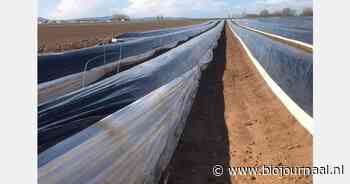 Bio aspergeteler stopt na 34 jaar