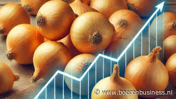 Uienmarkt onder spanning, waar zijn nog uien?