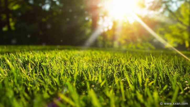 Dormant Lawns: When grass will return and how to help prevent dryness