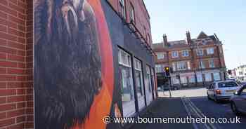 Woman comes forward and man identified after assault outside bar