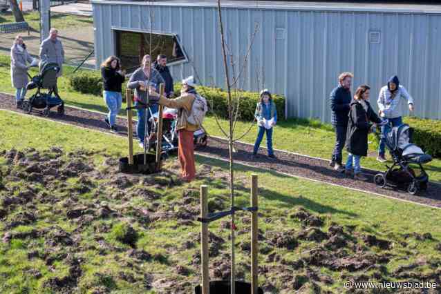 Gezinnen verwelkomen geboortebomen