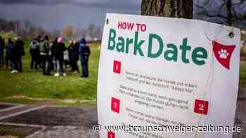 Braunschweiger treffen sich zum Blind Date mit einem Hund