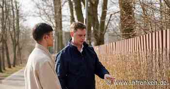 Bamberg: Metallwand des Stadionbades mit Hecke bepflanzt - mehrere Ziele