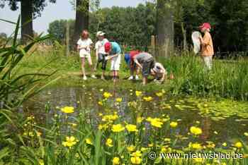 Week van het Water in Pajottenland: op watersafari in het Warandepark of wandelen langs de Mark
