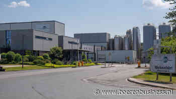 'DMK heeft weer echt concurrerende melkprijs'