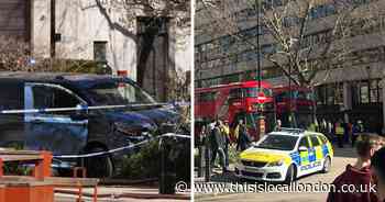 Woman killed after van hits three people on The Strand was ‘King's College student’