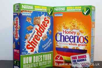 Cheerios and Shreddies cereal blow as maker announces factory to close