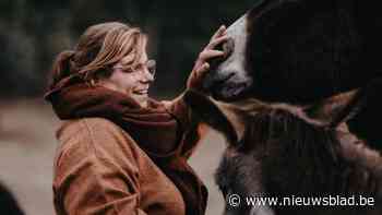 Ezelasiel uit Itegem zoekt nieuwe stek: “We willen deze droom niet opgeven”