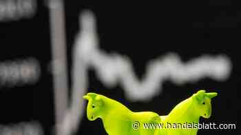 Geldanlage: Schutz vor einem Börsencrash: So machen Sie Ihr Depot krisensicher