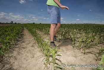 Provincie West-Vlaanderen wil drie grote spaarbekkens aanleggen voor periodes van droogte