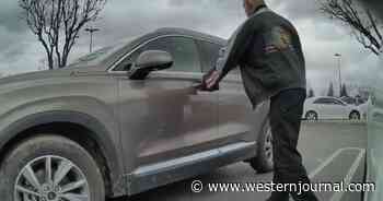 Man Who Allegedly Vandalized Tesla in Viral Video Quickly Pays a Big Price