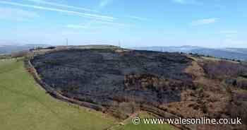 Photos show vast scale of huge Swansea mountain fire