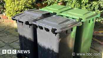 Weather-related bin issues cost council £40,000