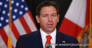 Ron DeSantis Proposes Solution to Stop the 'Sabotaging of President Trump's Agenda' by Federal Judges