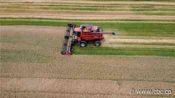 Canadian farmland values up 9%, but growth rate slowing