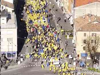 Incontro EFSA-Coldiretti, un confronto sui cibi derivati da colture cellulari e da fermentazione di precisione