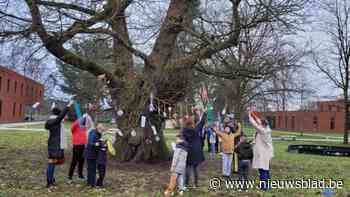 Twee eeuwen oude kastanje 'Boom van het jaar' van Sint-Rafel grijpt naast Europese titel