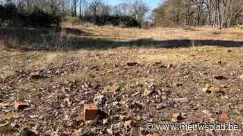 Tien jaar na afbraak serres wordt natuurgebied gesaneerd: “Die grond hoort er niet thuis”