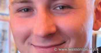 'Beautiful son' killed in crash