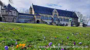 Kaiserpfalz-Open-Air in Goslar: Drittes Konzert steht fest