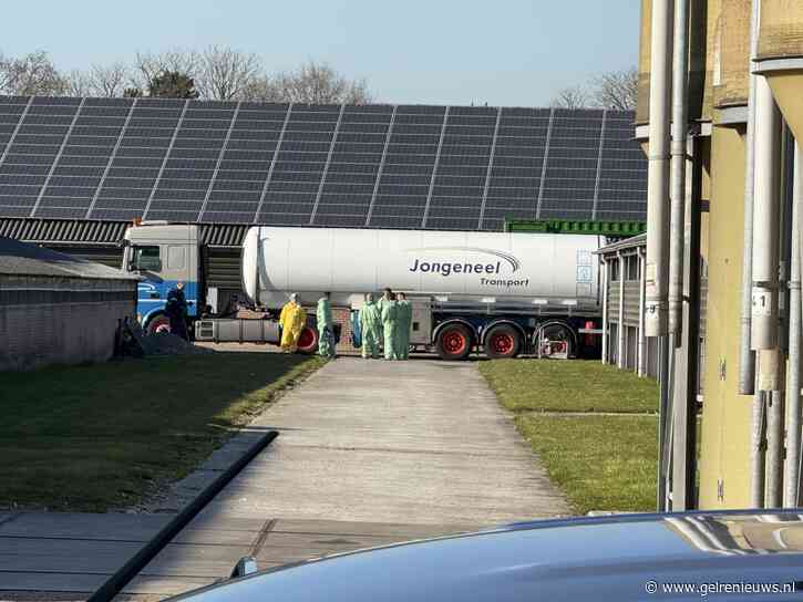 Vogelgriep op boerderij, duizenden kalkoenen geruimd