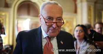 Democratic Lawmakers Are Quietly Plotting Chuck Schumer's Political Demise: Report