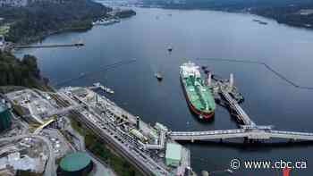 Energy sector CEOs call on Ottawa to use emergency powers to speed up key projects