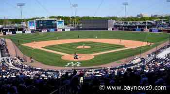Rays to have 'clear bag policy' at Steinbrenner Field in 2025