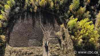 Orphan well cleanup plan coming next month, says Alberta premier