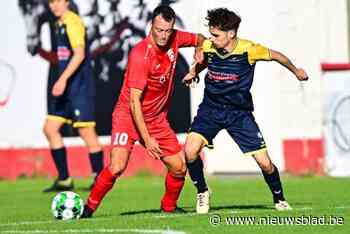 Ninove B plukt derde speler weg bij VK Nederhasselt