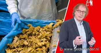 Soms zie ik iemand lopen van wie ik denk: lijkt me typisch een vleesvervanger