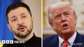 Zelensky says lasting peace achievable this year as he and Trump hail 'positive' call