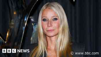 Paltrow told intimacy co-ordinator to 'step back' before sex scenes with Chalamet