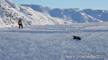 Toerist gered na zeven uur onder lawine in Noorwegen: 'Wonderlijk'