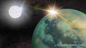 Alien life could survive on Earth-like planets circling dead stars, study suggests