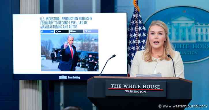 Karoline Leavitt Crushes Tim Walz After He Roots for the Failure of an American Company: 'A Sad Existence'