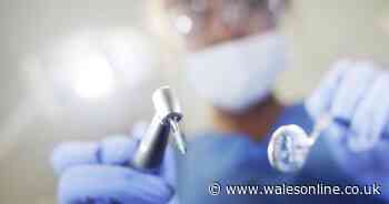 Ongoing row between Welsh Government and dentists ahead of 'biggest changes in decades'