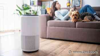 Air Purifier Secrets: The Must-Have Gadget to Combat Your Allergies