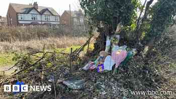 Boy, 16, killed and two hurt in crash with tree