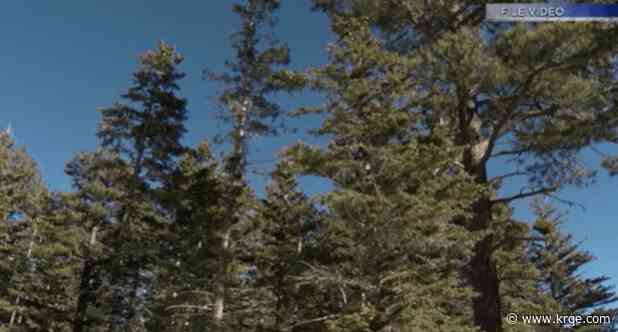 Santa Fe County to hold wildfire mitigation and preparedness event