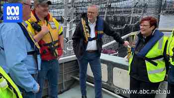 Federal Labor's move to protect Macquarie Harbour salmon farming blasted by Greens