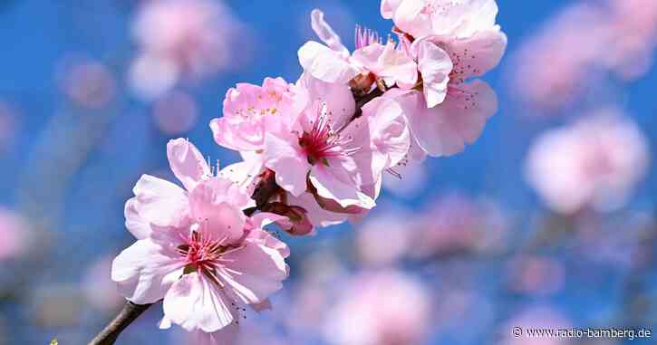Kalendarischer Frühling beginnt mild
