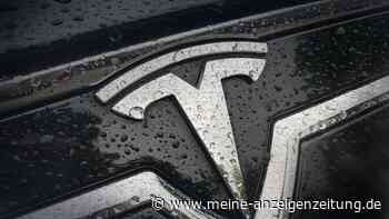 Unternehmen in der Krise: Tesla droht „Schlecker-Moment“