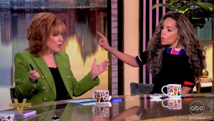 'The View' hosts squabble over Democrat infighting, whether Schumer pointlessly 'caved' to GOP