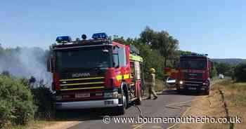 Surveillance stepped up after 'arson attack' at nature reserve