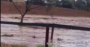 Best falls in 18 months in SA's Upper North but follow up required