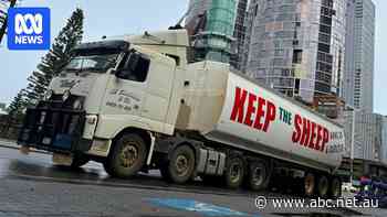 Education department reviews school computer block on pro and anti-live export websites