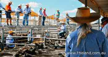 Two Chicks, No Rooster: Dating burnout is real and it's okay to feel it