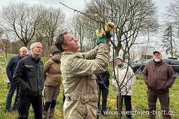 Mit dem richtigen Baumschnitt zur erfolgreichen Ernte
